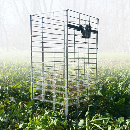 Gauge Cage