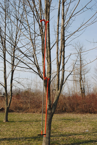 Steel Habitat Hook