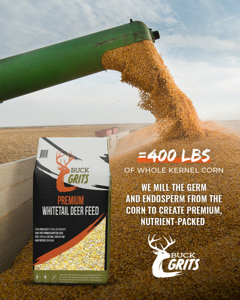 Buck Grits Whitetail Deer Feed