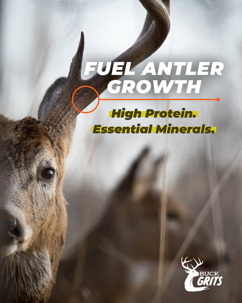 Buck Grits Whitetail Deer Feed