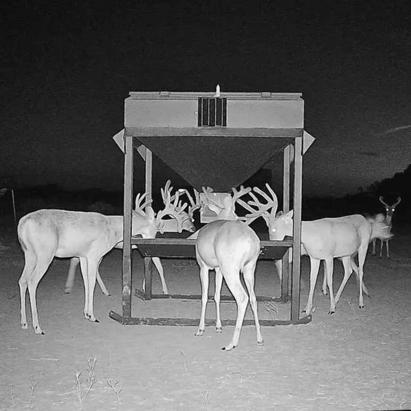 Trio Feeder (1,500 lb)